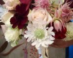 blumen pucher hochzeit 