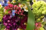 tn Foto 11.05.19  14 05 08