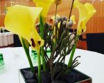 blumen pucher eventfloristik 24